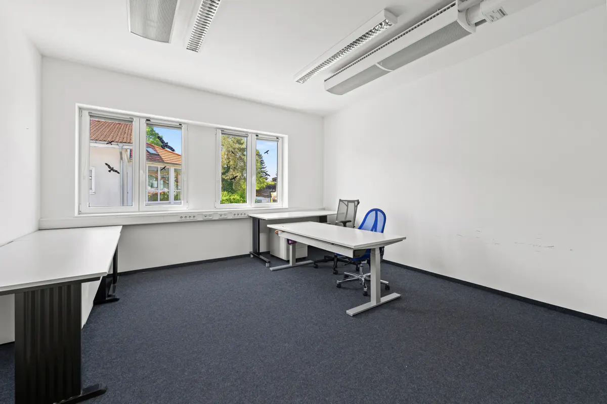 Bright office with white walls, dark carpet, two white desks, and a blue mesh office chair under fluorescent lighting.