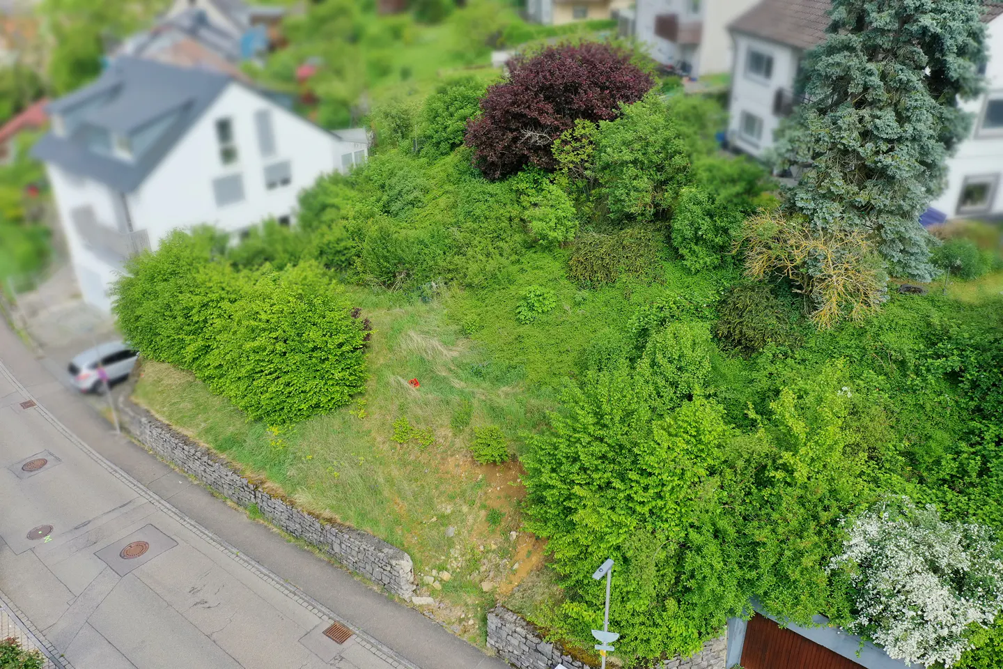An aerial view of a lush, green, vacant lot on a hillside, with houses and a street visible in the background.