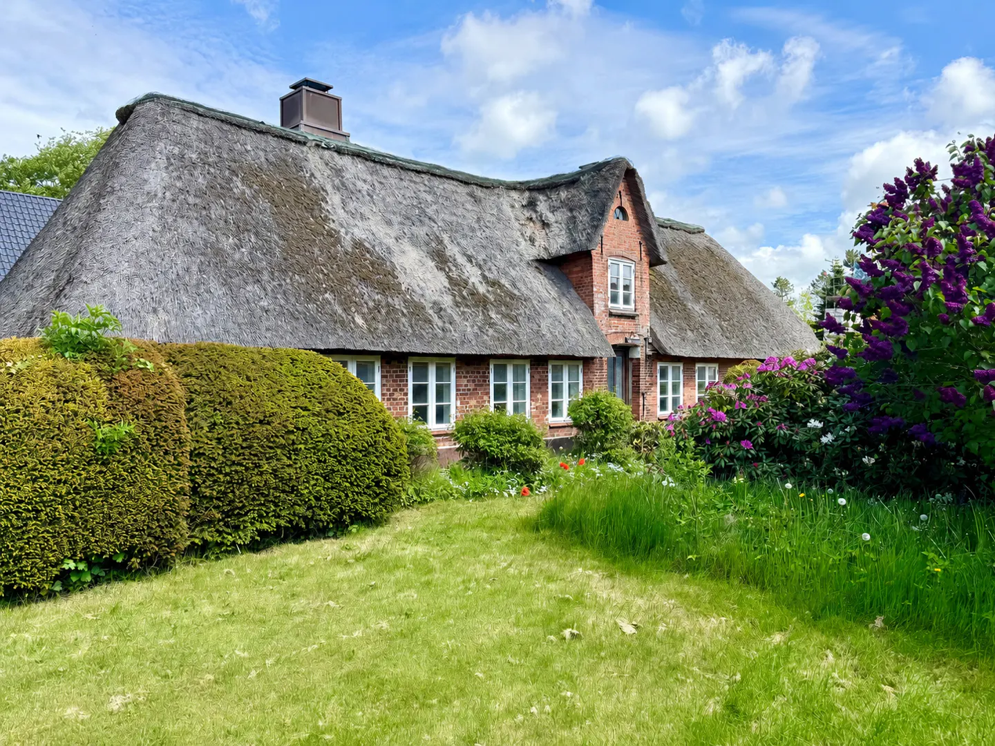 A charming red brick cottage with a thatched roof, surrounded by a lush green lawn, manicured hedges, and purple lilacs.