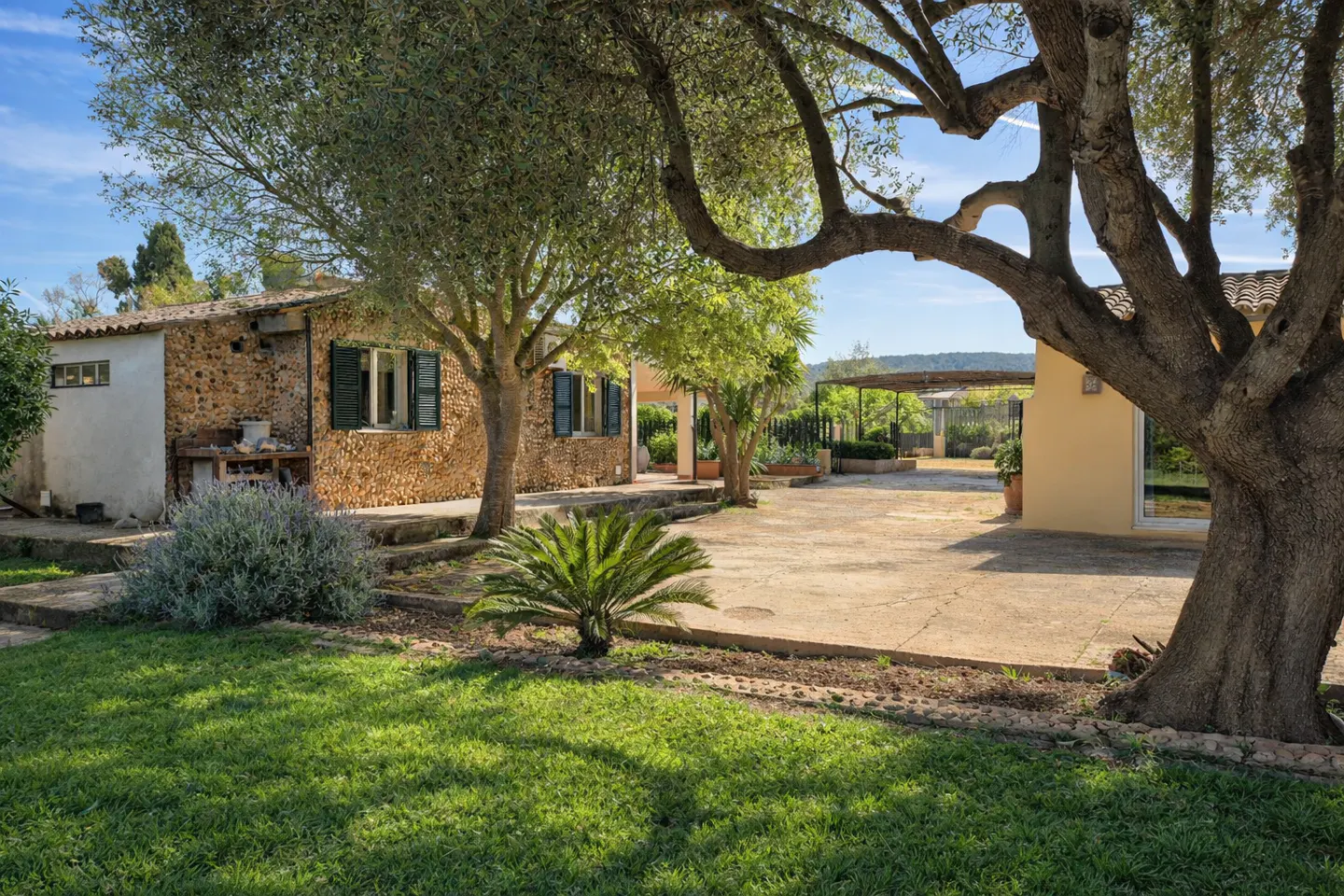 Exterior view of a stone house with green shutters, a lawn, trees, and a concrete patio.