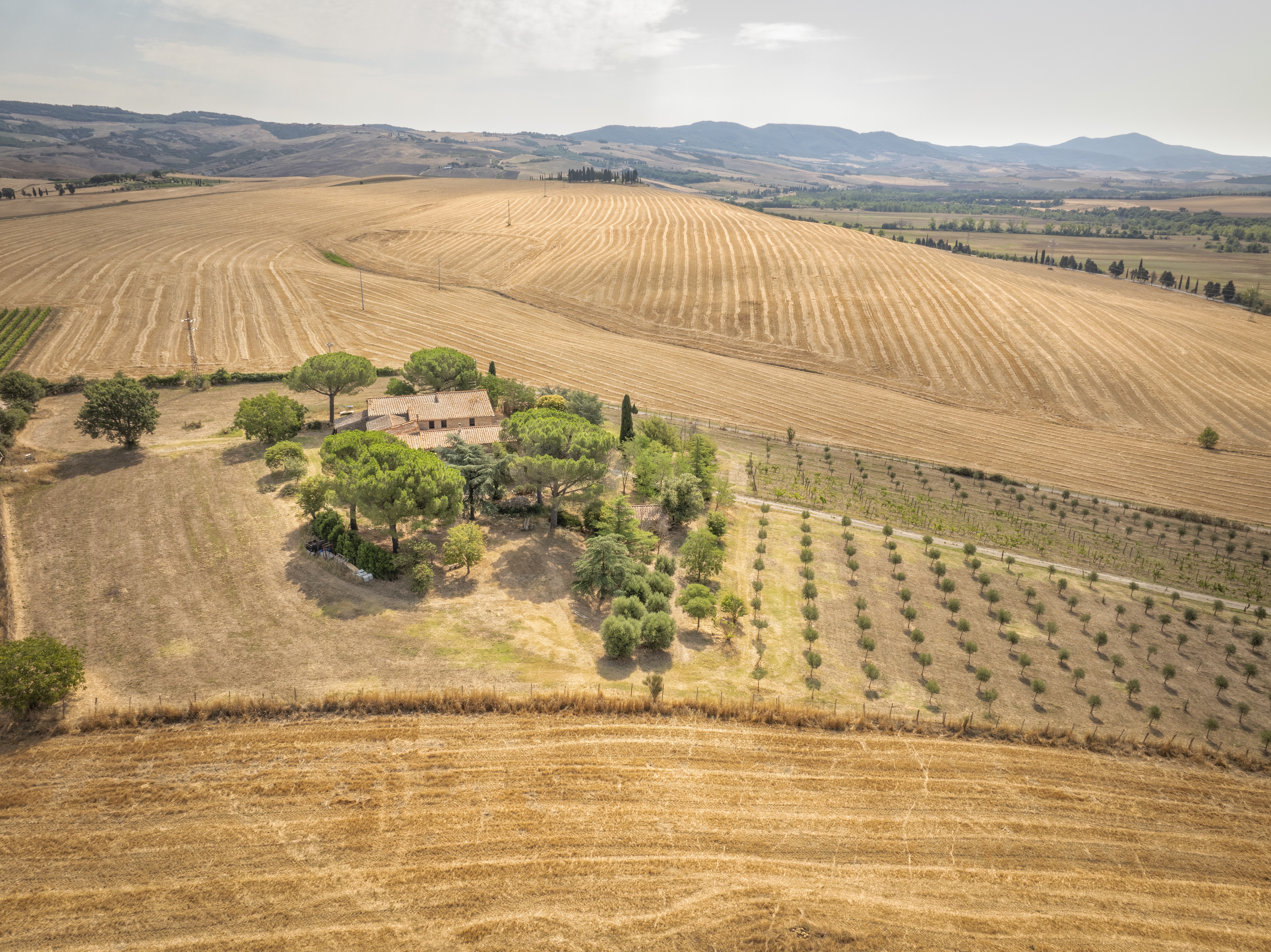 Spectacular unfinished property in Val d'Orcia