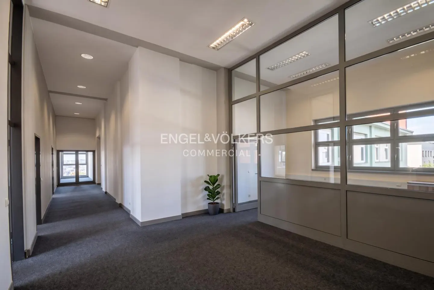 Office space with gray carpet, white walls, and glass-walled offices. A plant sits near the Engel & Völkers Commercial logo.