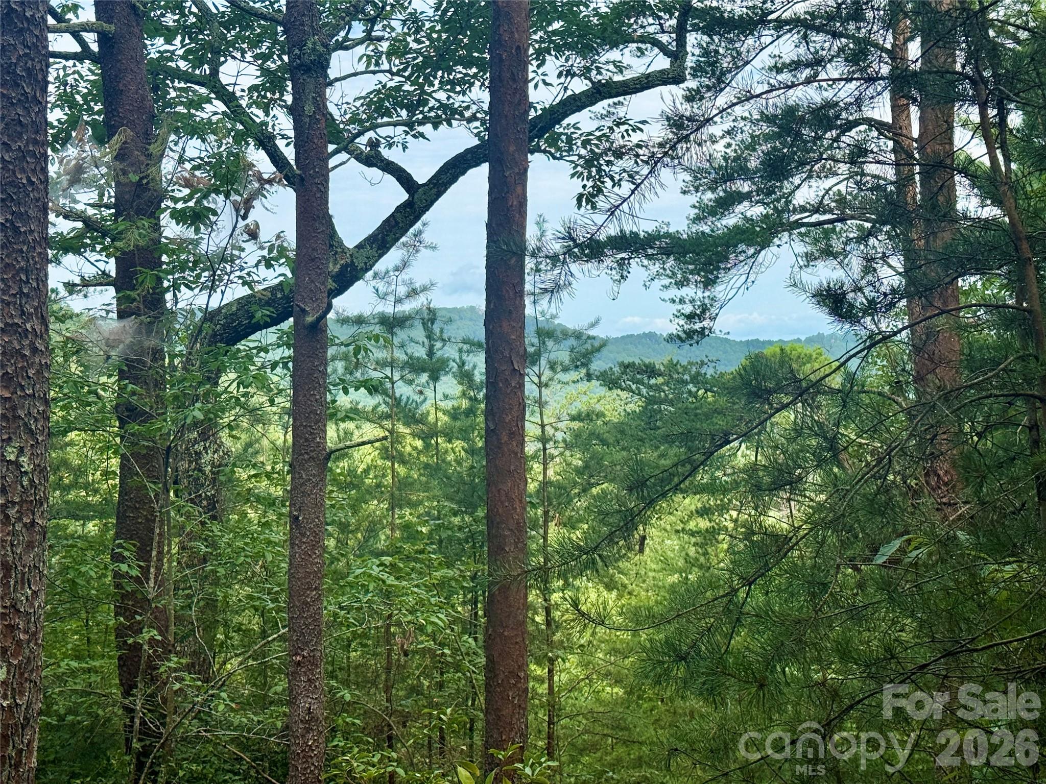 Private Mountain Homesite with Long-Range Views