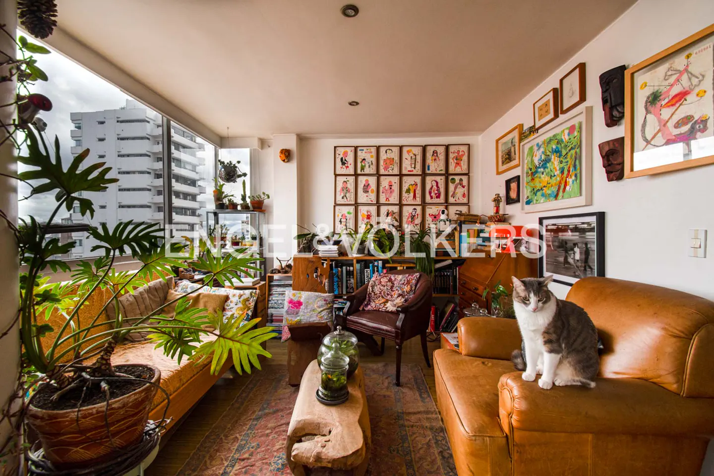 A living room with a brown leather sofa, a wooden table, and a gray and white cat sitting on the sofa. There are plants and art on the walls.