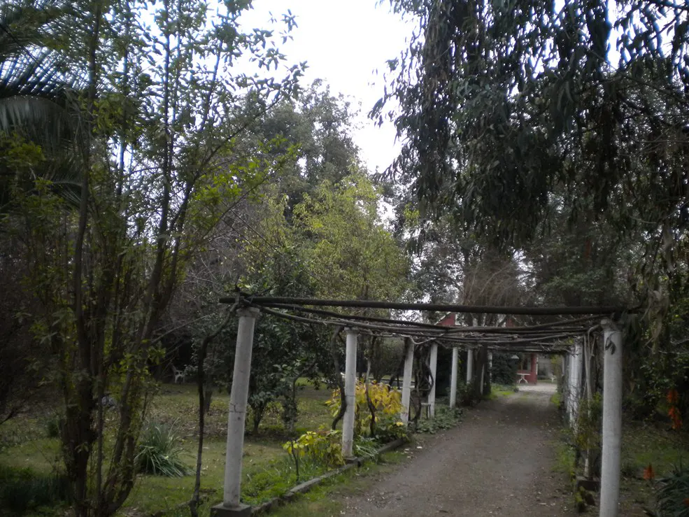 A garden path with a pergola of white pillars and vines leads to a red house in the distance. Green trees surround the path.