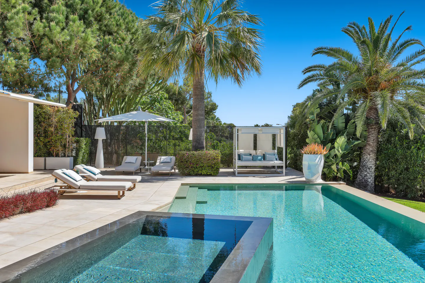 A turquoise pool is surrounded by lounge chairs, a white canopy bed, and palm trees under a clear blue sky.