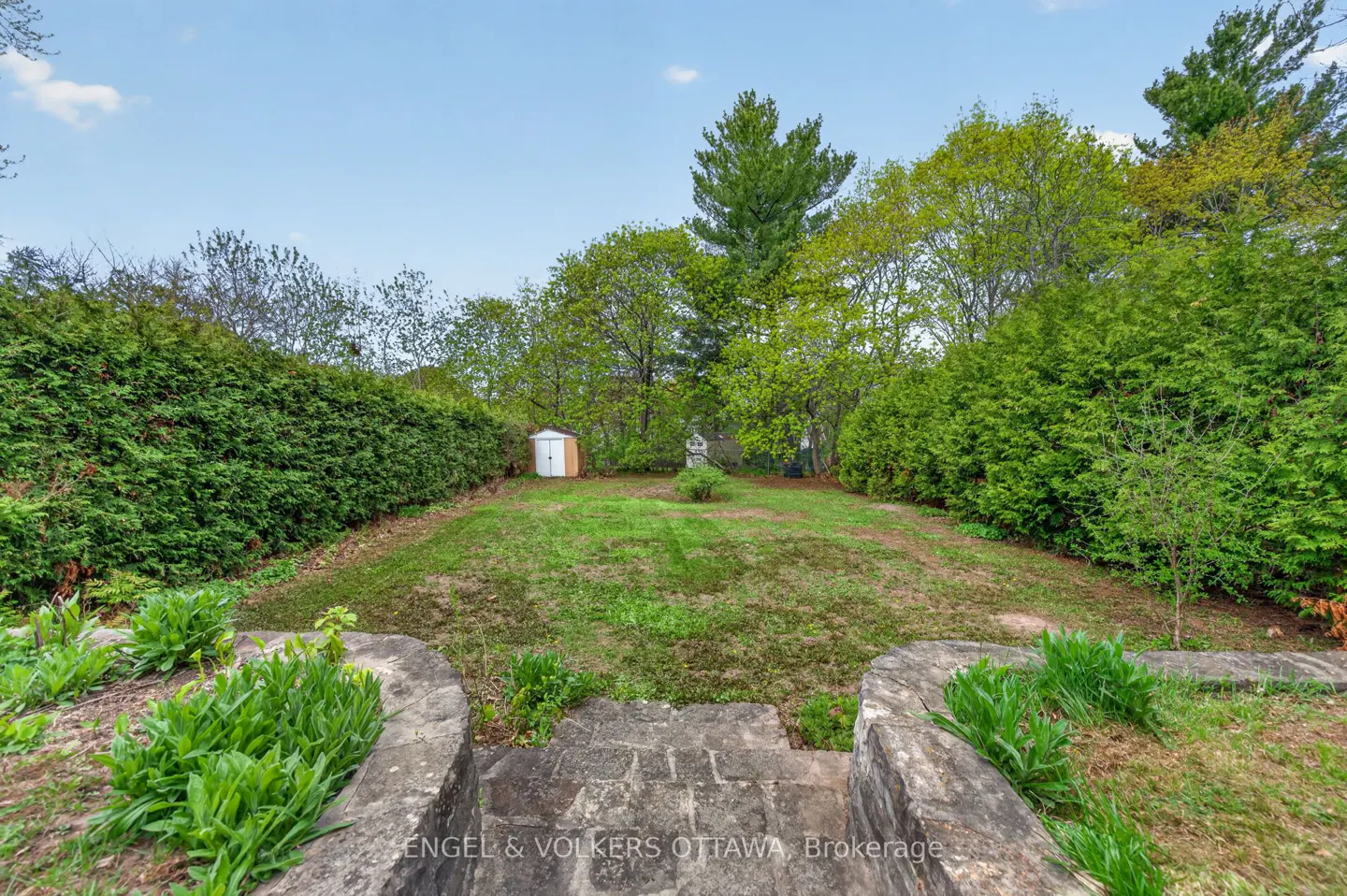 A backyard with a small shed, statue, and green grass, surrounded by tall green hedges and trees. Stone steps lead down to the yard.