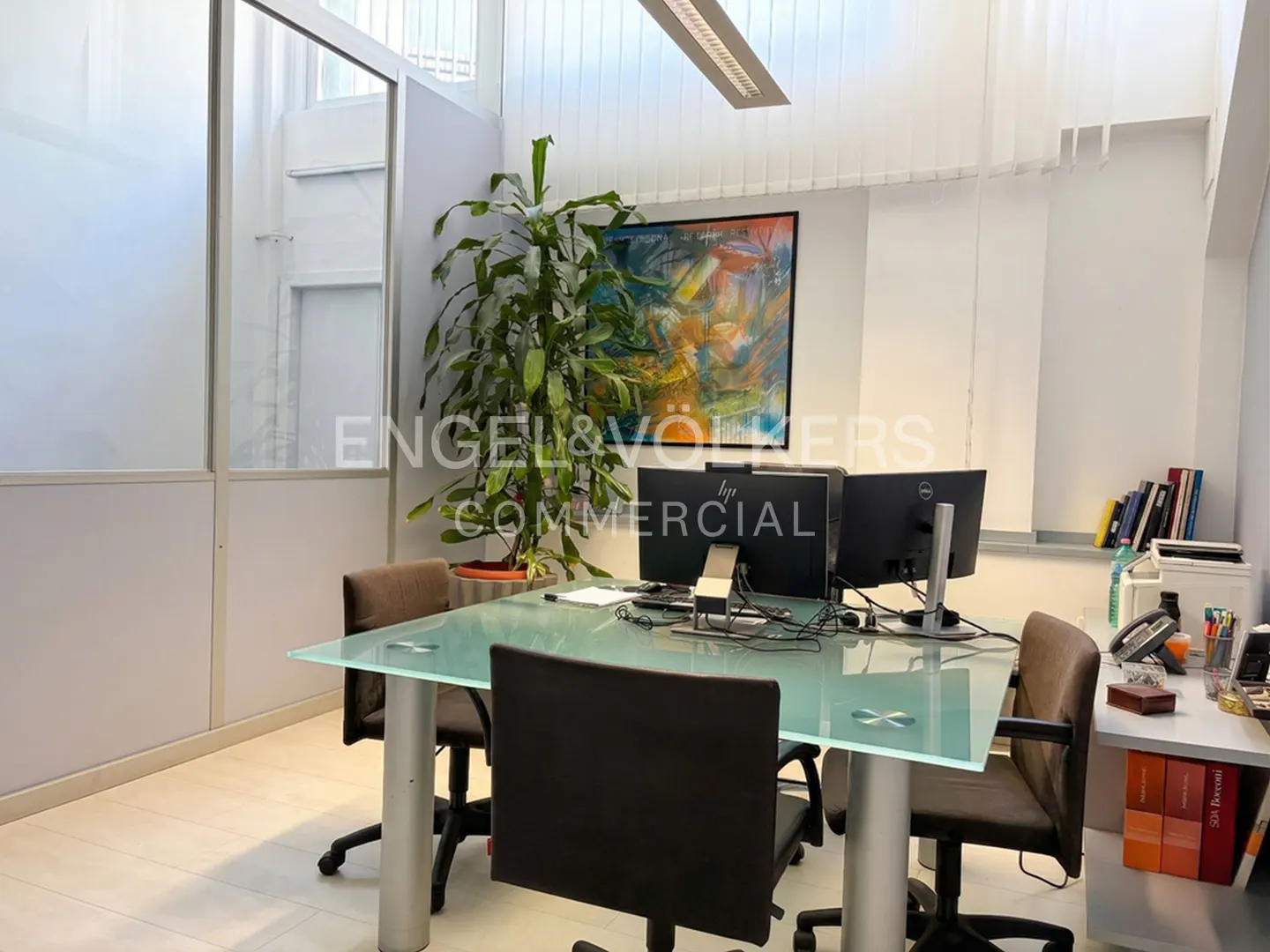 Office space with a glass table, rolling chairs, and computer monitors. A large plant and abstract art add color to the white walls.