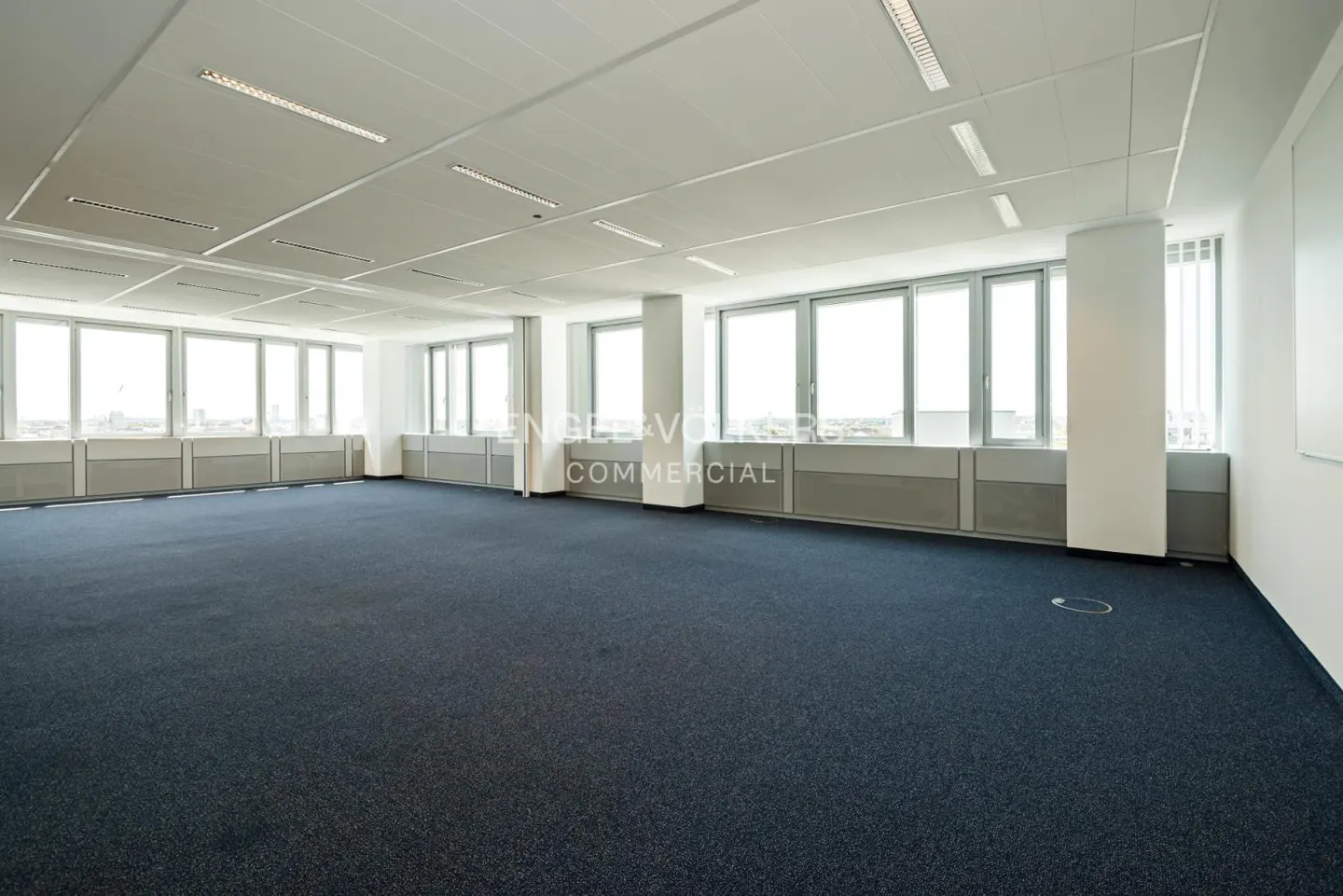 Bright, empty office space with blue carpet, white walls, and large windows. Overhead lighting illuminates the room.