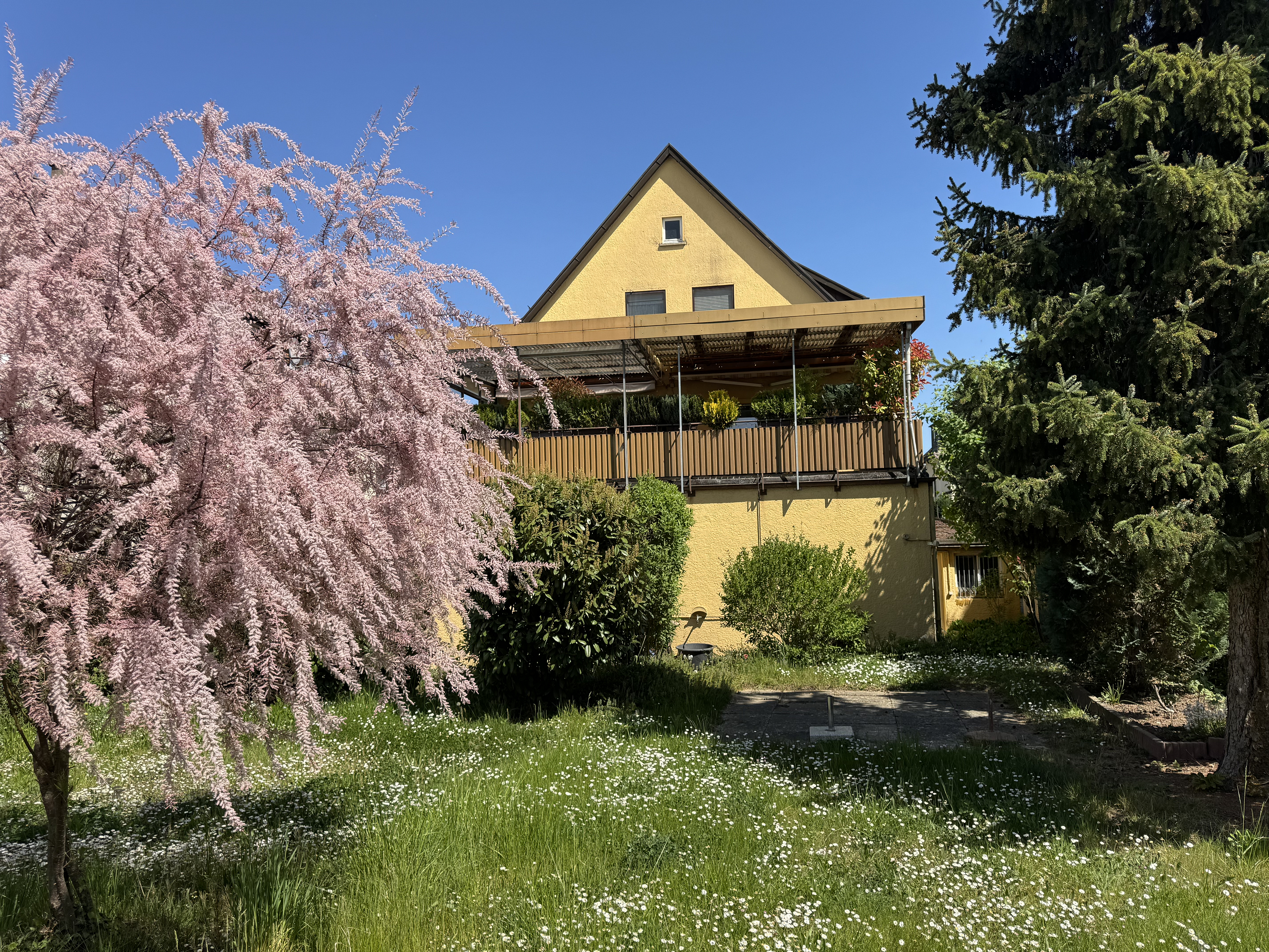 Loftartige Erdgeschosswohnung mit außergewöhnlich großem Gartenanteil