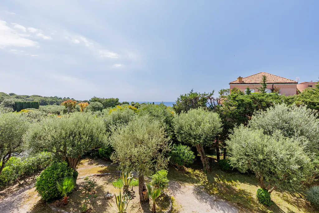 View of a lush garden with olive trees, shrubs, and a pink house with a terracotta roof under a blue sky.