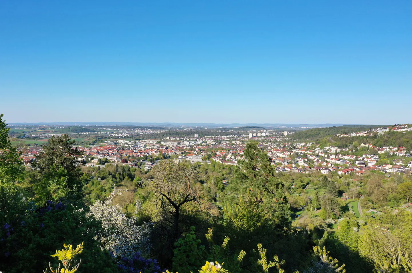 Scenic view of Stuttgart, Germany, under a clear blue sky. Lush green trees and flowering plants in the foreground overlook the cityscape.