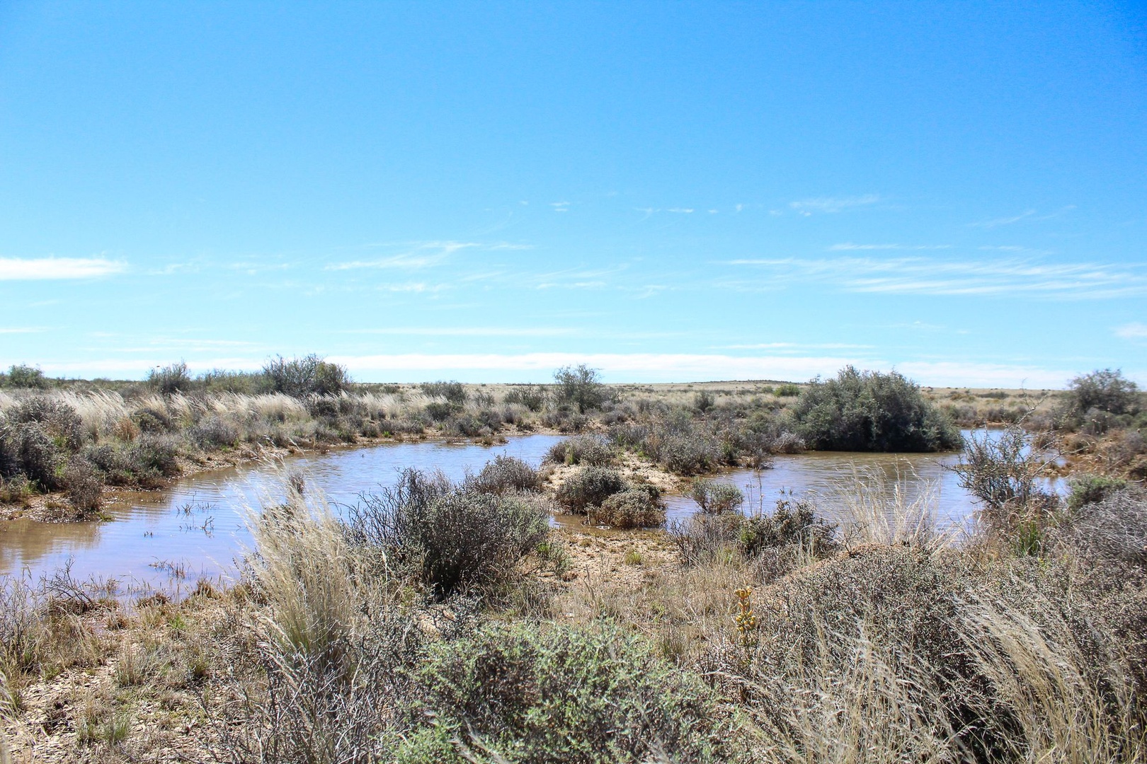Off the grid Northern Cape Upper Karoo Farm