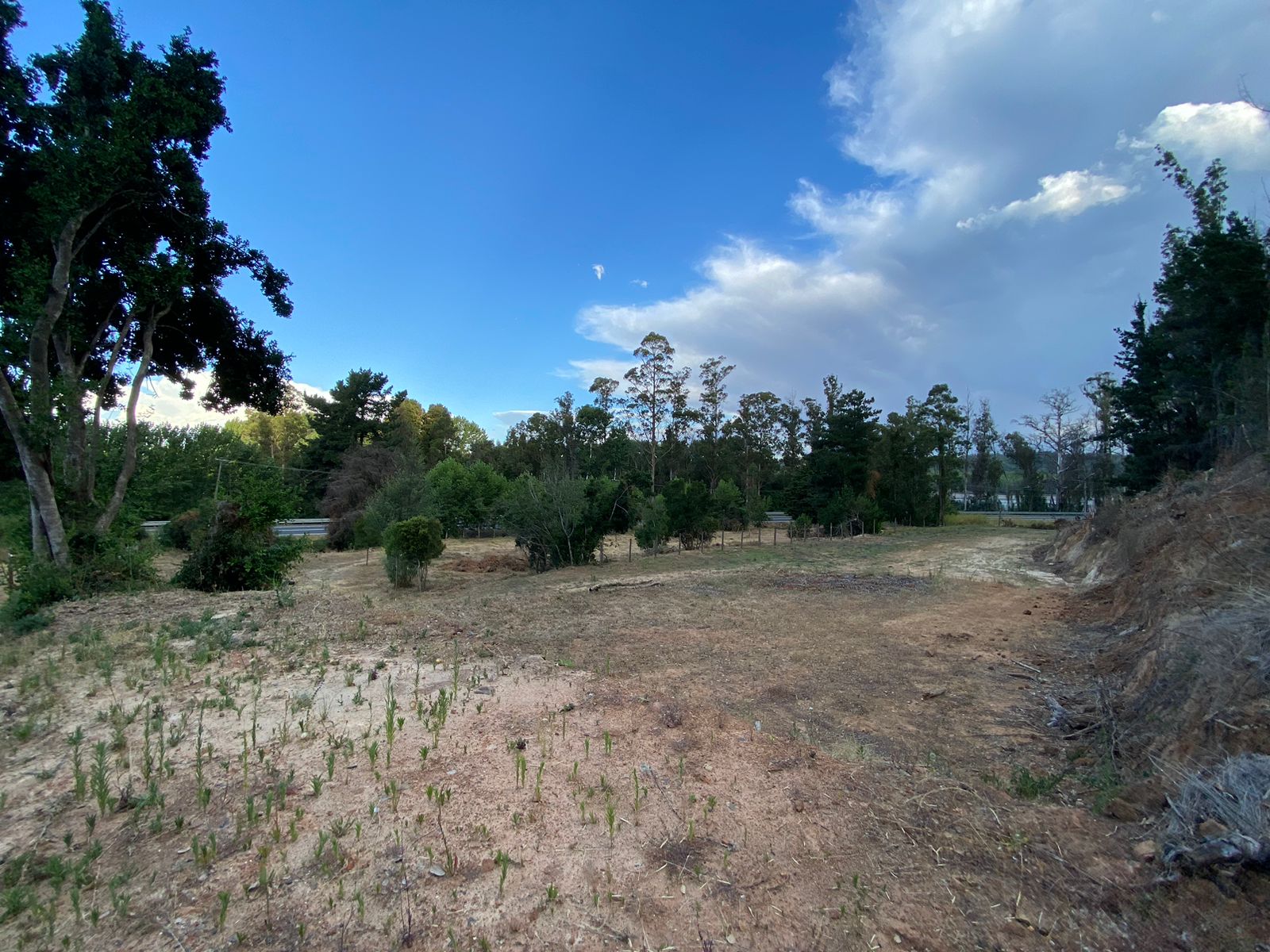 Terreno en reserva de Mitrinhue