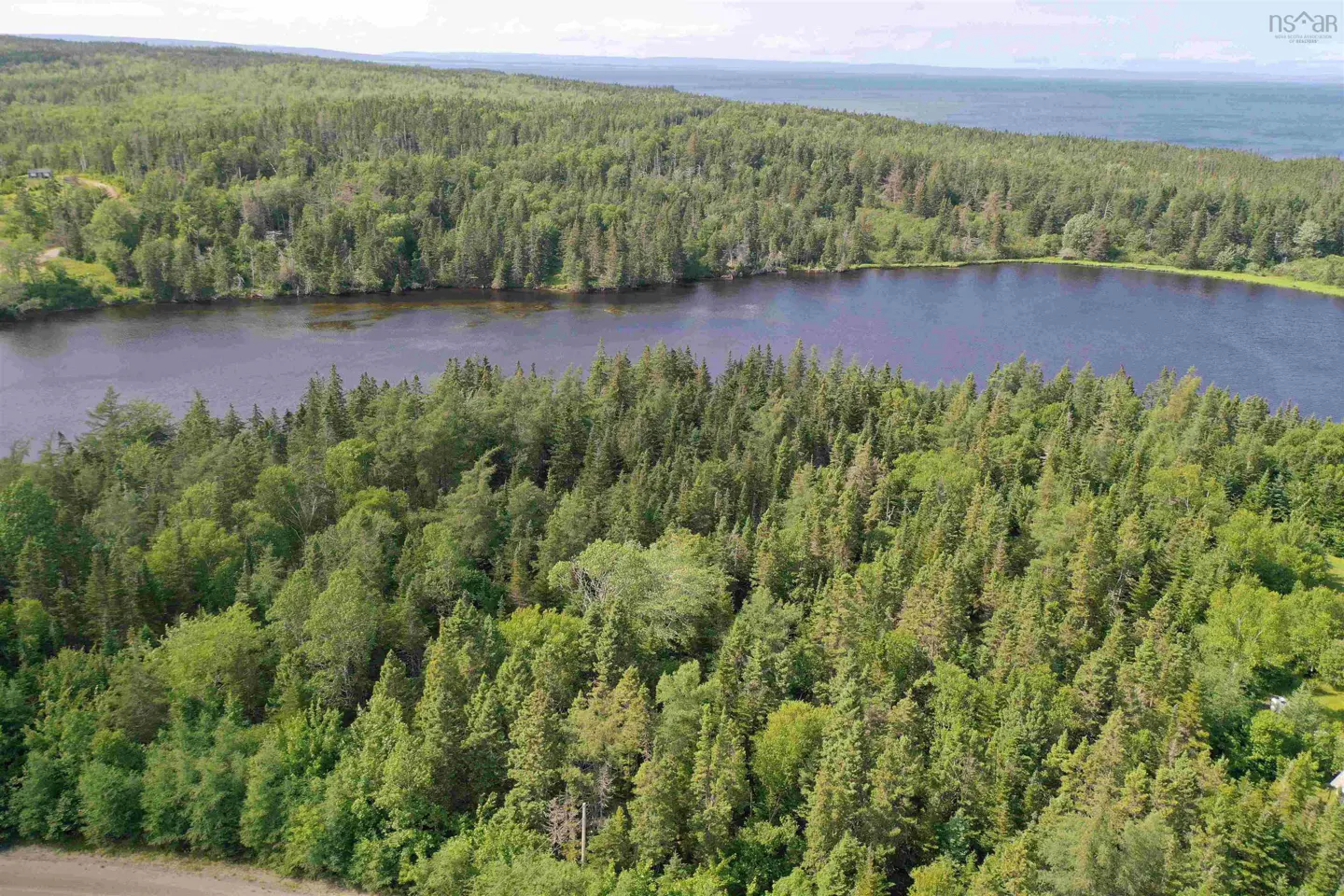 Aerial view of a dense green forest surrounding a calm lake, with a large body of water visible in the distant background.