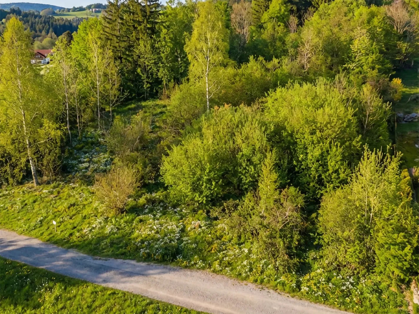 Aerial view of a wooded lot with a dirt road in the foreground and a house in the distance.