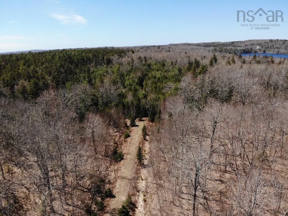 Aerial view of wooded land with a cleared path, brown trees, green evergreens, and a blue sky.