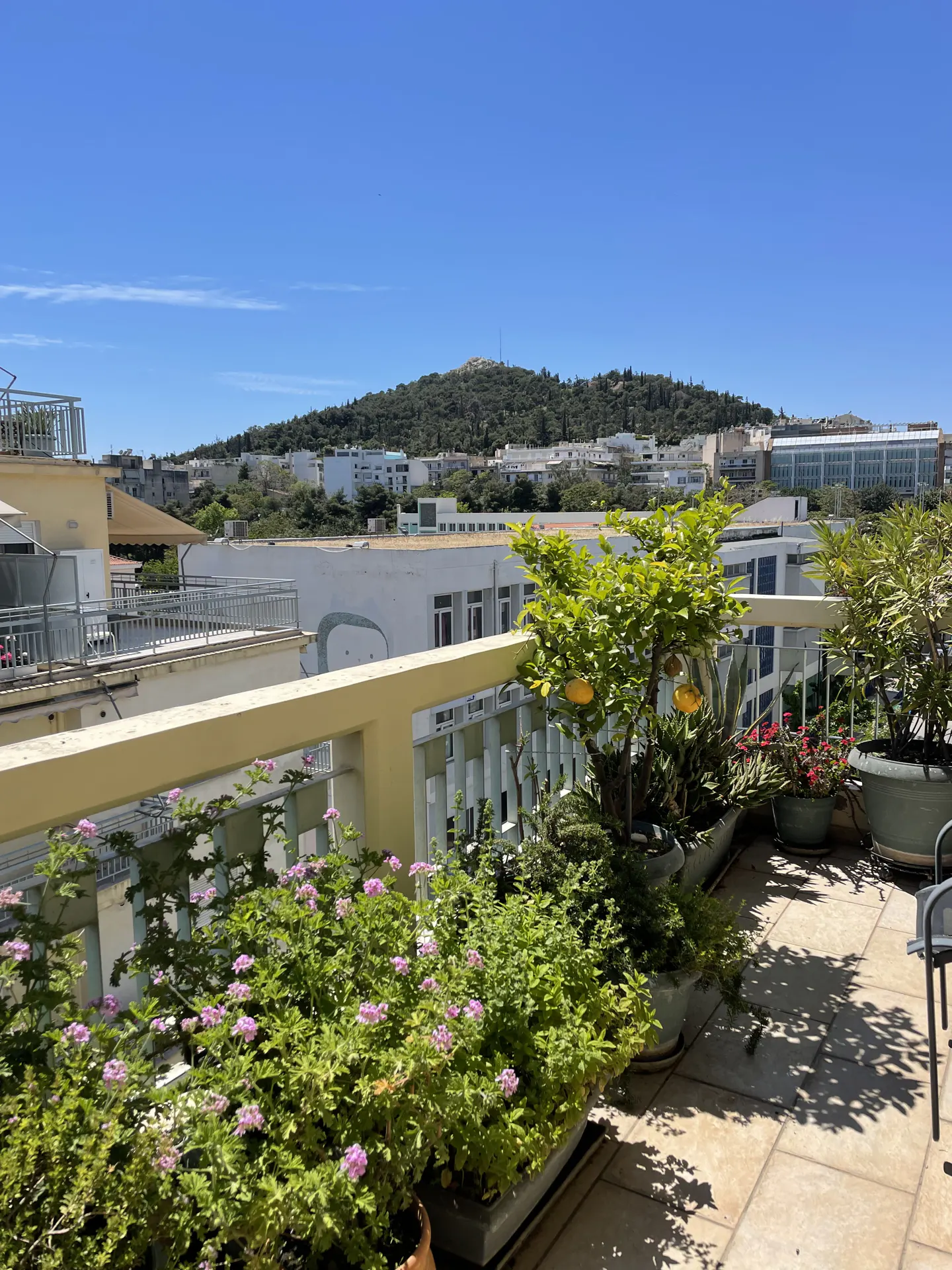 A sunny rooftop terrace with potted plants and flowers, overlooking a cityscape and distant hill under a clear blue sky.