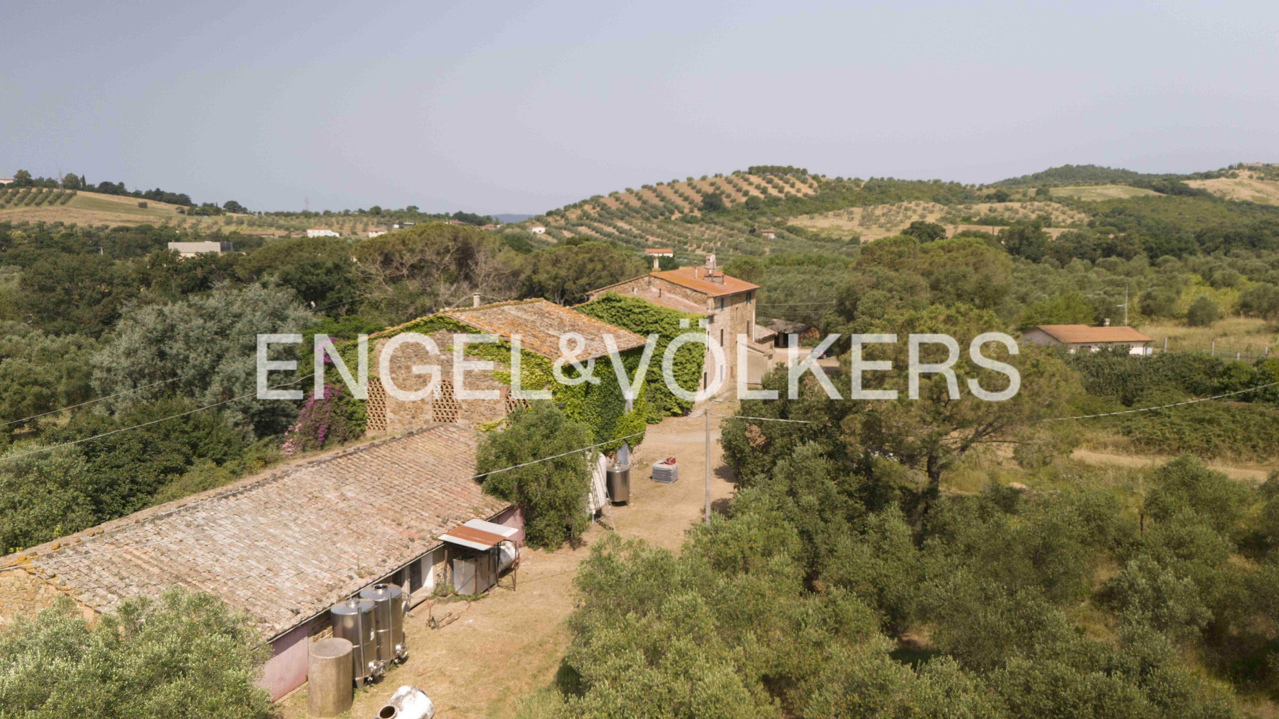 Agricultural company nestled in the gentle hills of Maremma with farmhouses and 14 ha of DOC Vineyard; 73 hectares Total