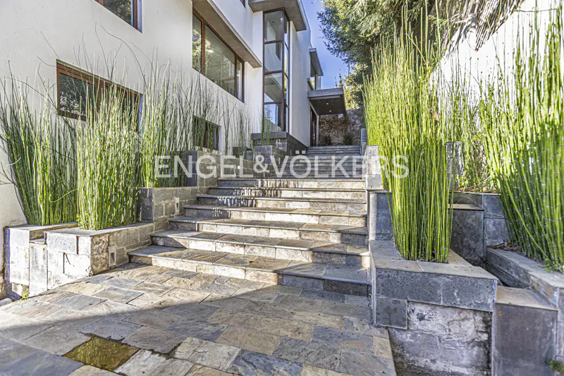 Exterior view of a modern white house with stone steps leading to the entrance, flanked by tall green plants.