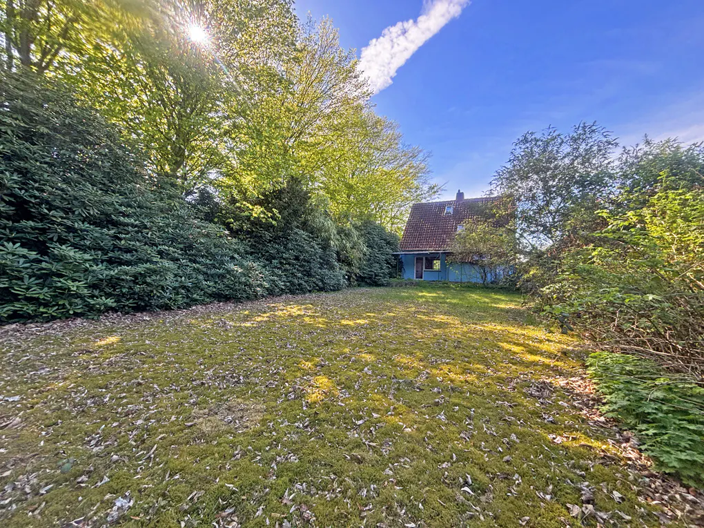 A blue house with a red roof is surrounded by green trees and a grassy lawn under a blue sky.