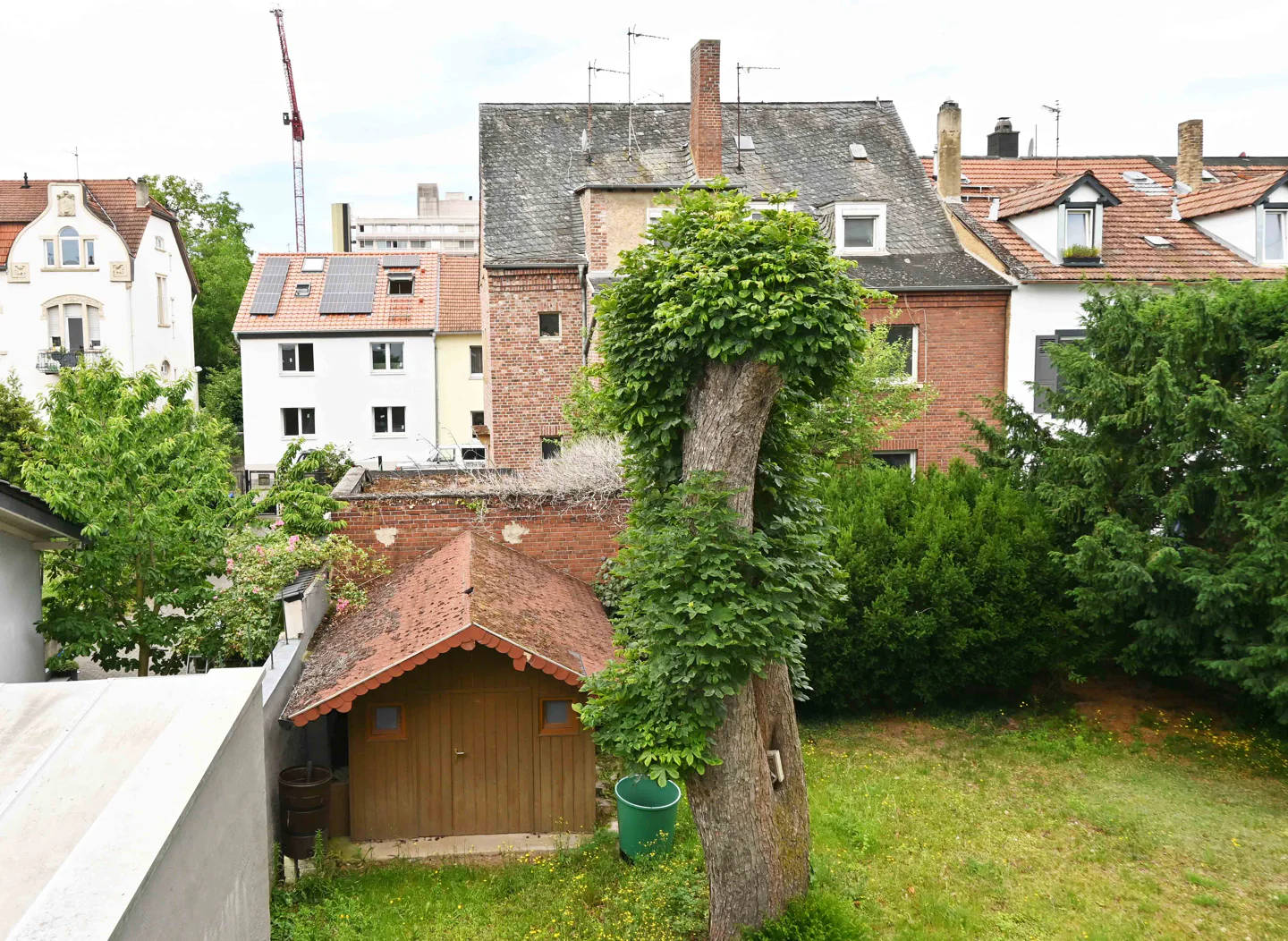 Altbau-Liebe mit Charme und zentraler Lage? - Photo 4