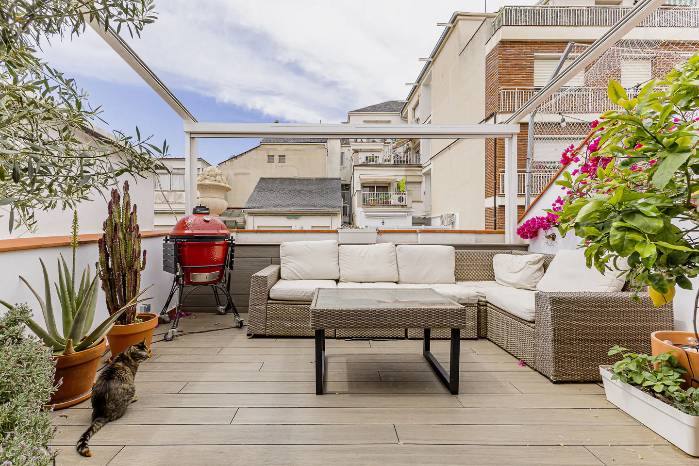 Outdoor patio with wicker furniture, a red grill, potted plants, and a cat on a wood-look deck with city buildings in the background.