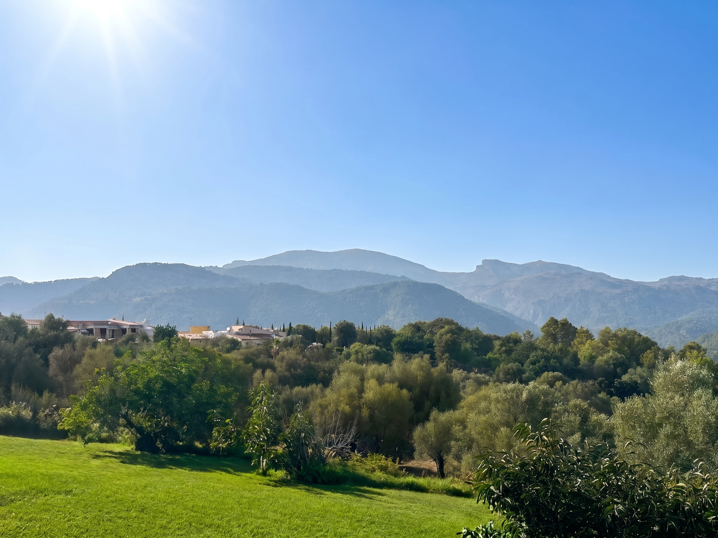 Urban plots with views – Investment opportunity in Campanet