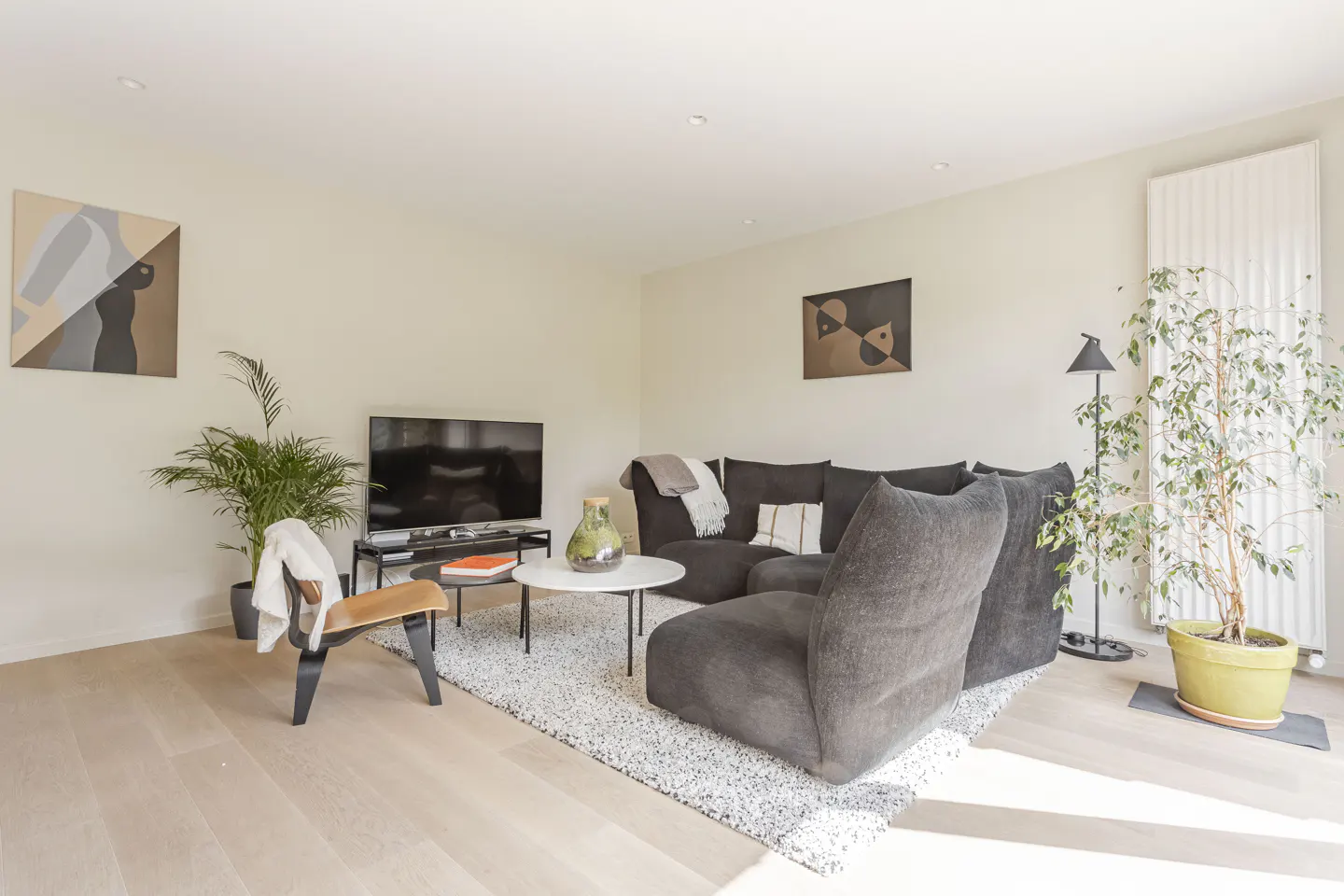 Bright living room with a gray sectional sofa, white rug, and light wood floors. Art hangs on the walls, and plants add greenery to the space.
