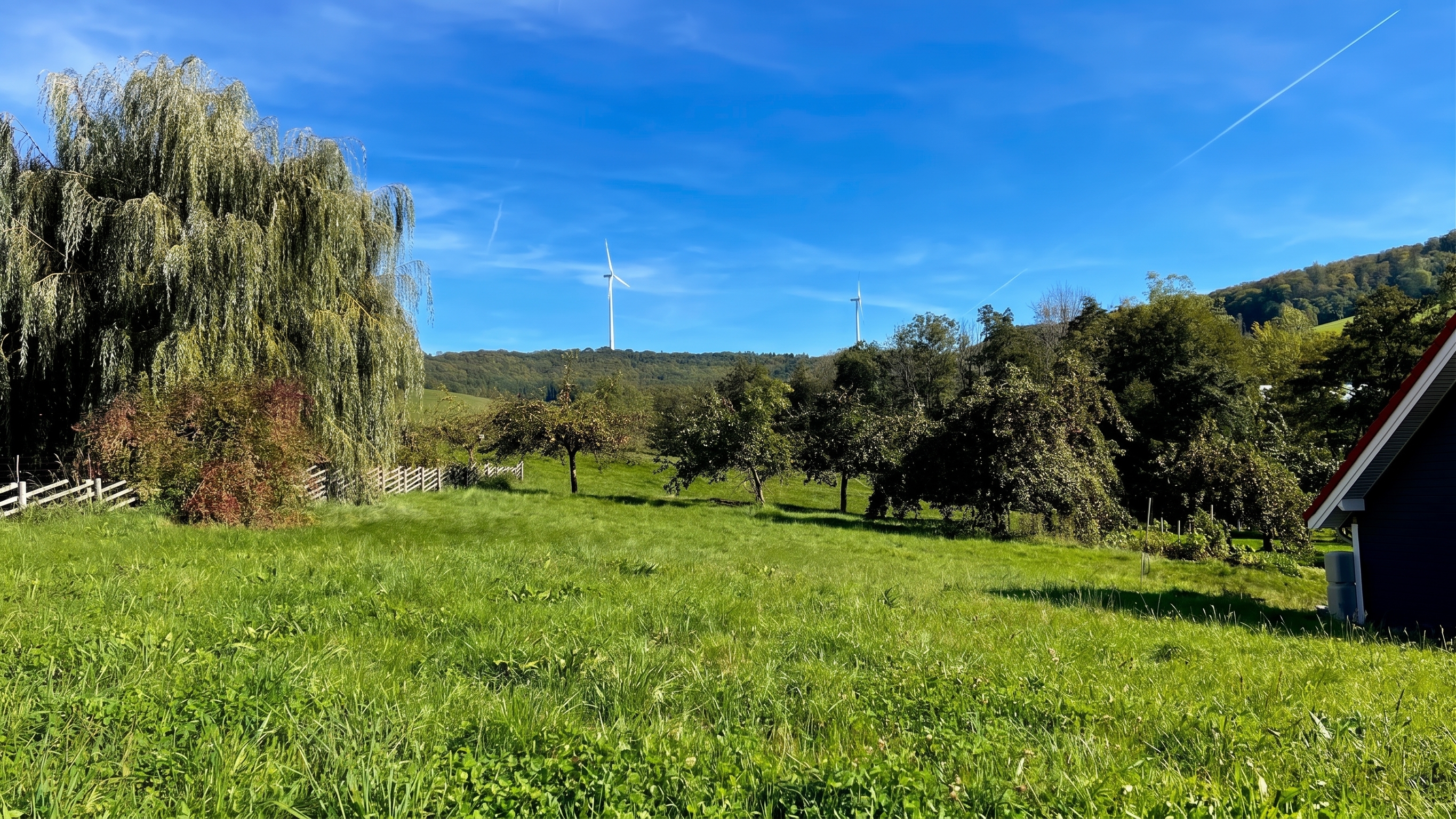 A lush green meadow with a large weeping willow, fruit trees, and wind turbines on a distant hill under a clear blue sky.