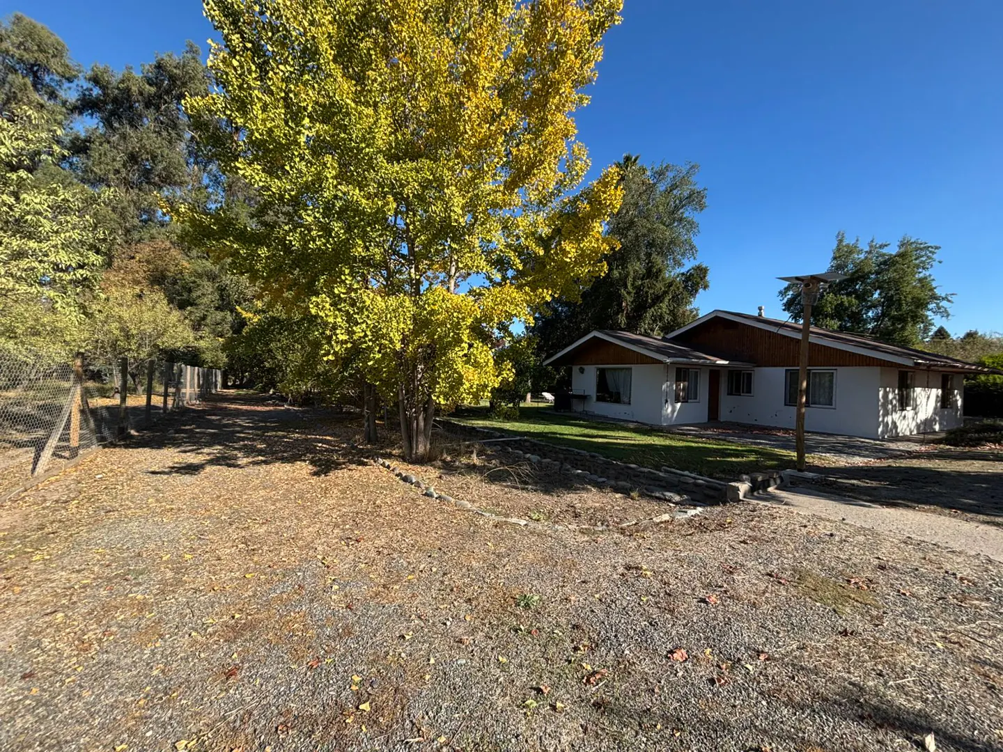 Exterior view of a white house with a brown roof, a large yellow tree, and a gravel driveway.