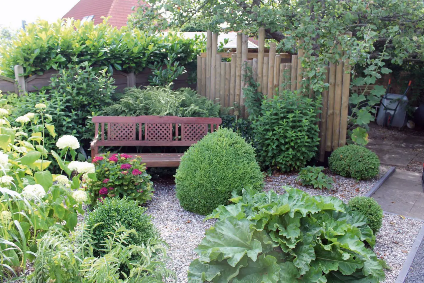 A garden with a wooden bench, green bushes, white hydrangeas, and a wooden fence.
