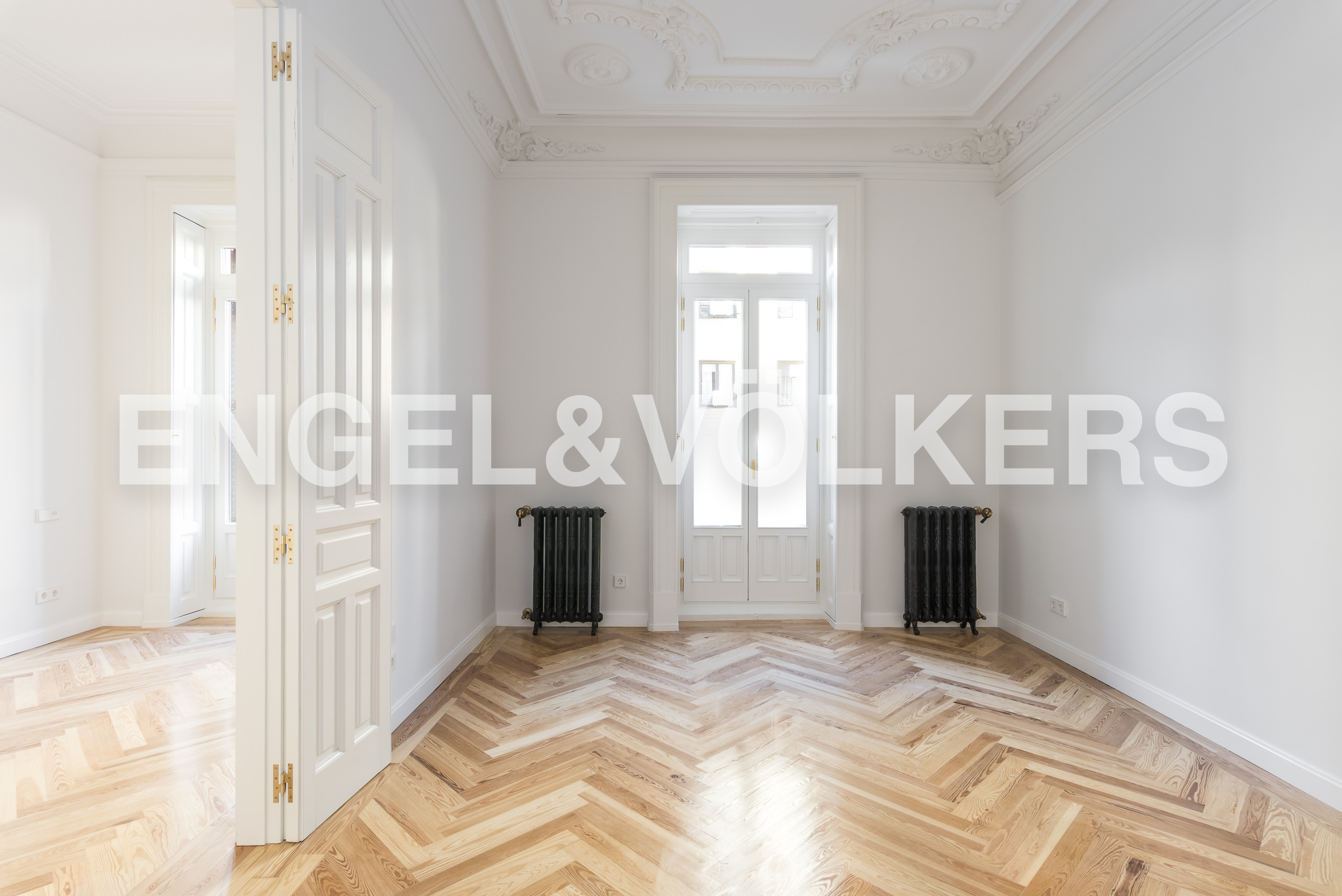 New construction apartment in Trafalgar for rent