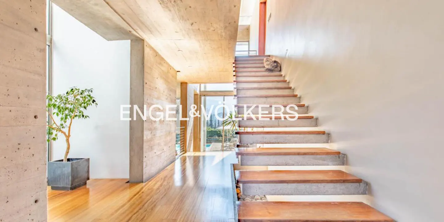 Modern home interior with wood floors, concrete walls, and a staircase. A cat sits on the stairs. A potted tree is visible.