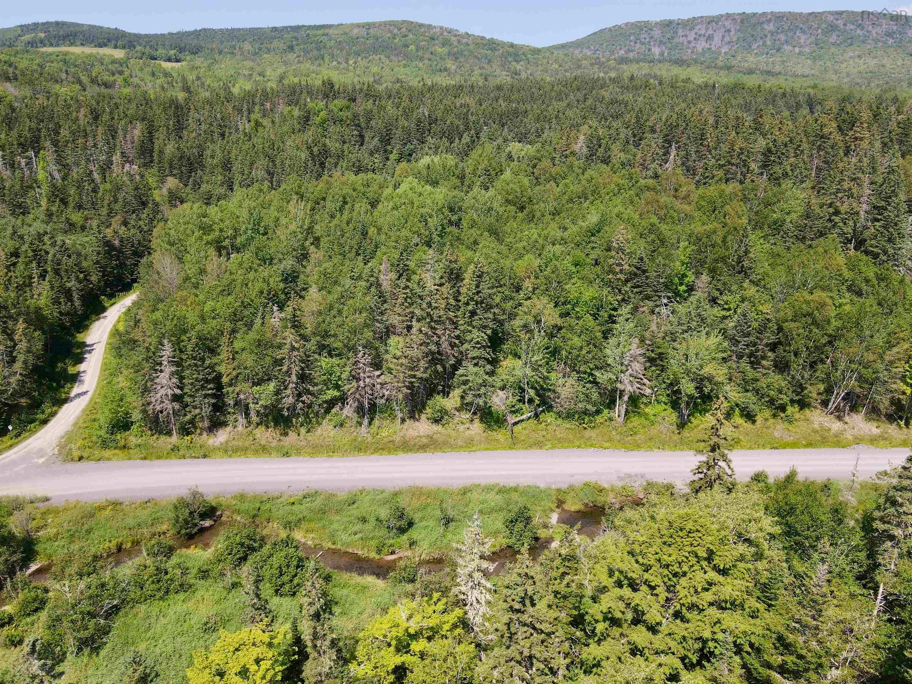 Discover 1.19 Acres of Wooded Potential Near Mabou