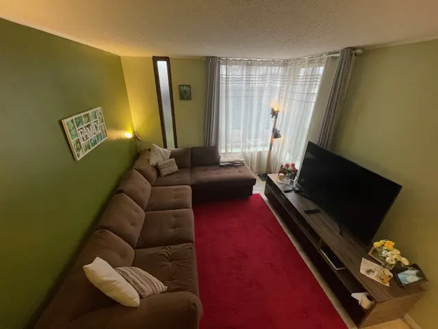 Living room with green walls, a brown sectional sofa, and a red rug. A TV sits on a console table. Curtains cover a window.
