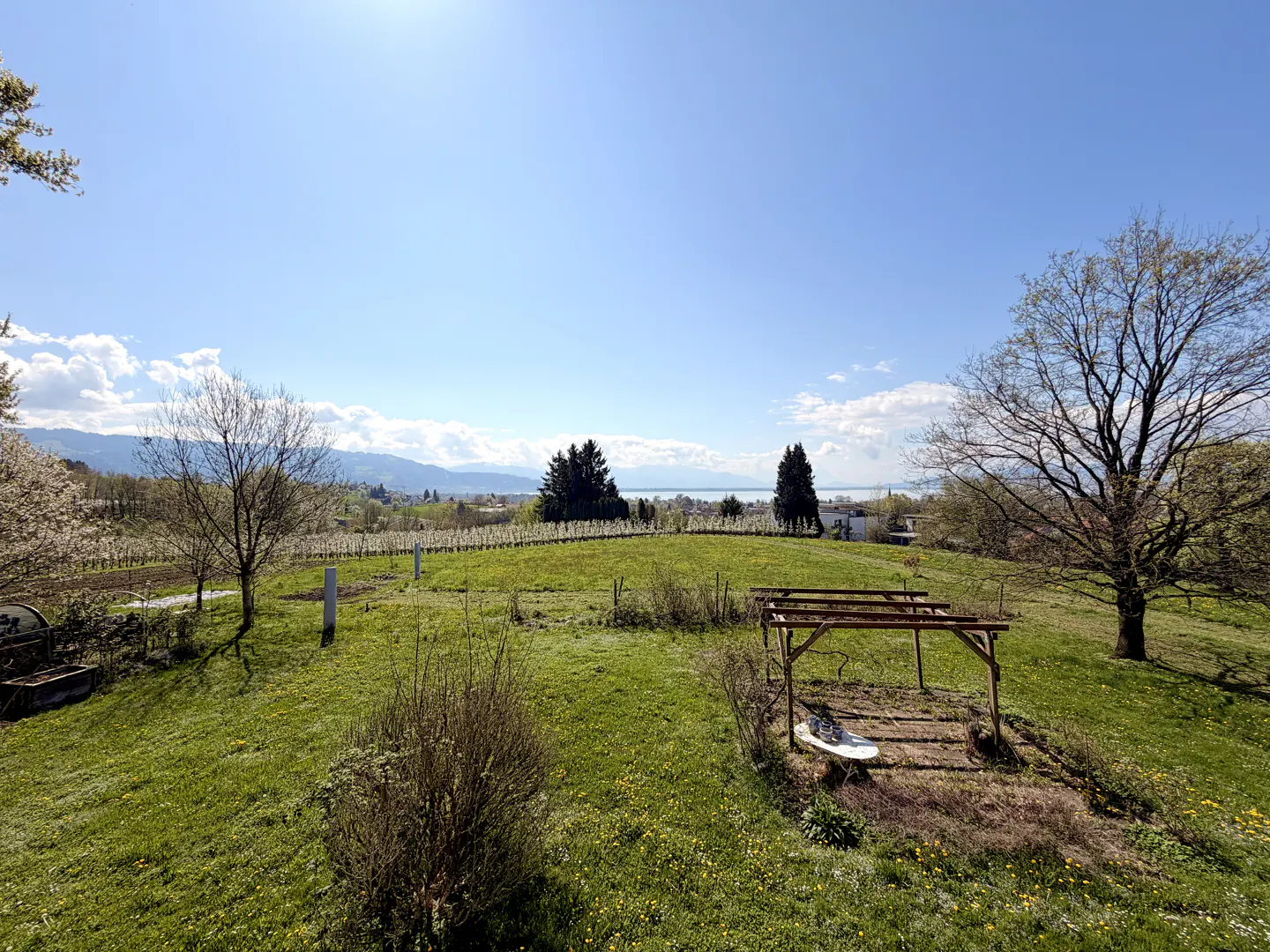 Scenic view of a green vineyard under a blue sky, with a wooden pergola in the foreground. Mountains and a lake are visible in the distance.