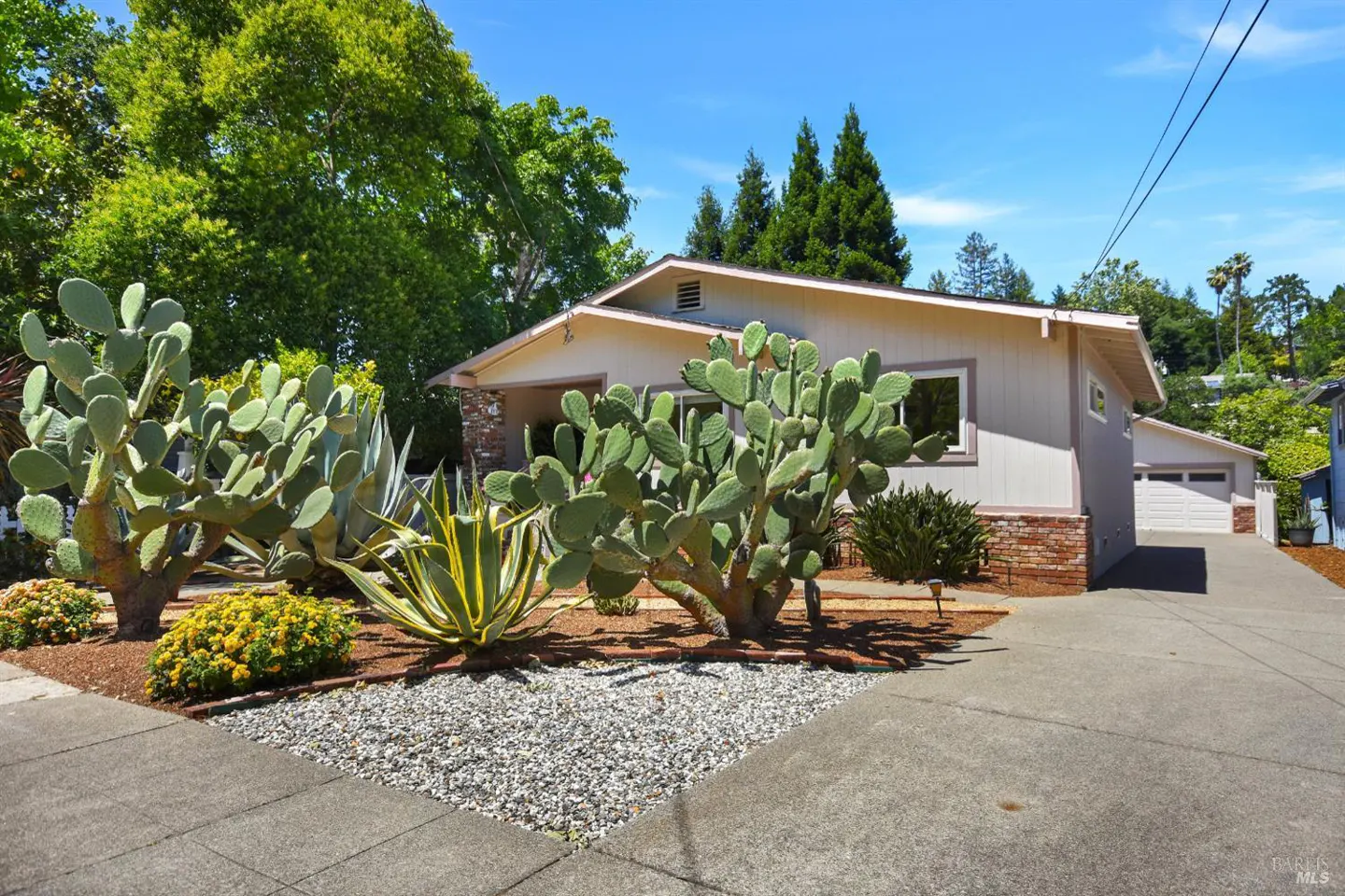 Tan house with a white garage door and a driveway. The front yard has cacti and other plants.
