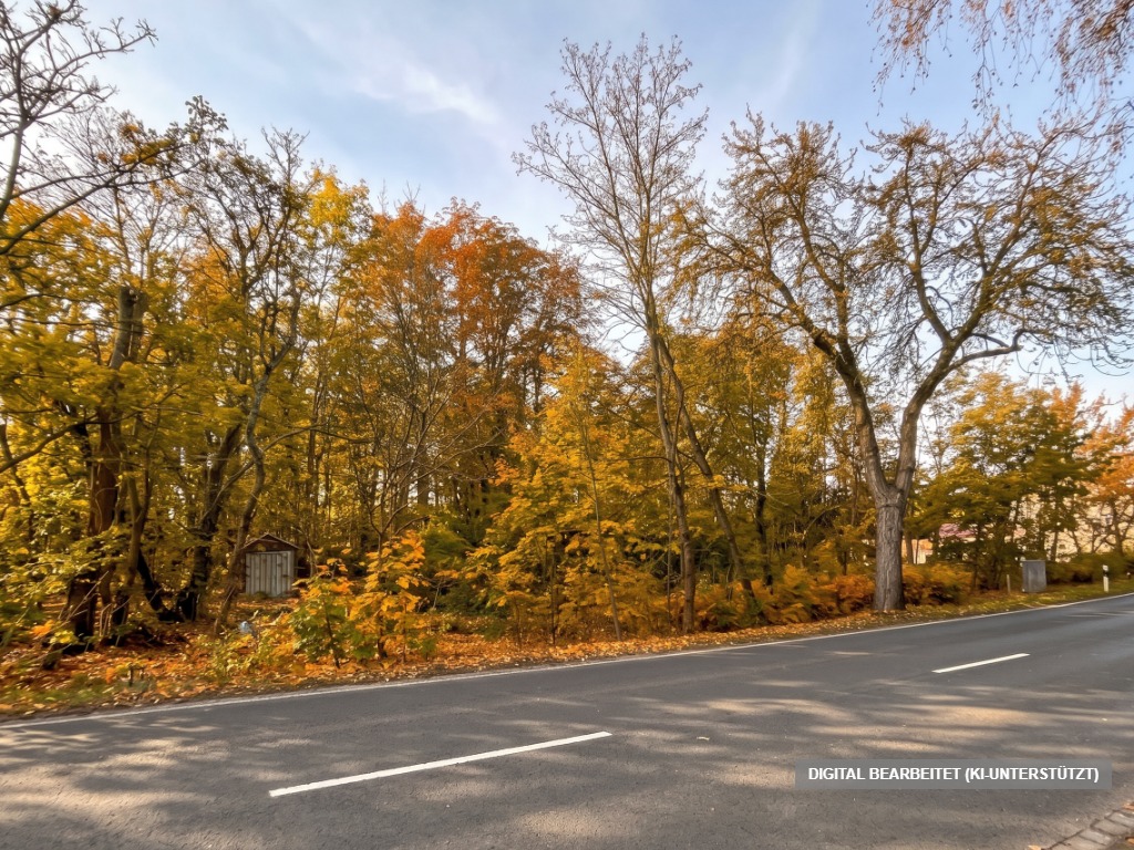 Stille Wiese, großer Plan, freier Himmel