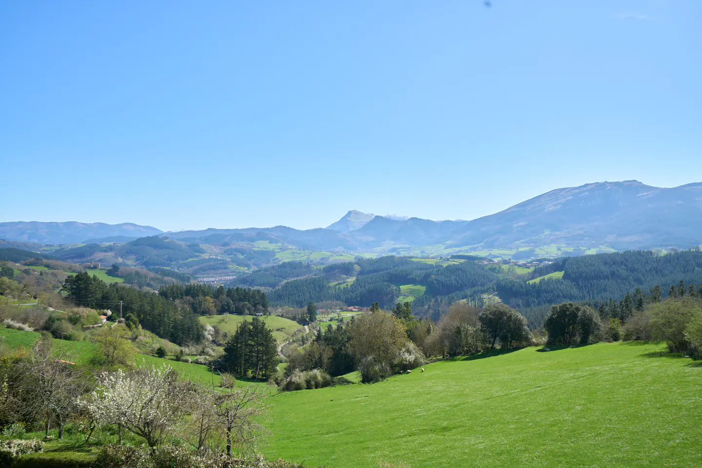 Scenic view of green hills and mountains under a clear blue sky. Trees and grass cover the landscape.