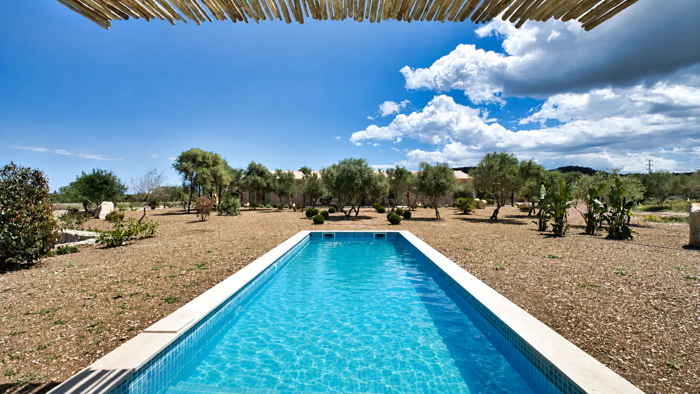 A long, narrow, blue swimming pool is centered in a yard with trees under a blue sky with clouds.