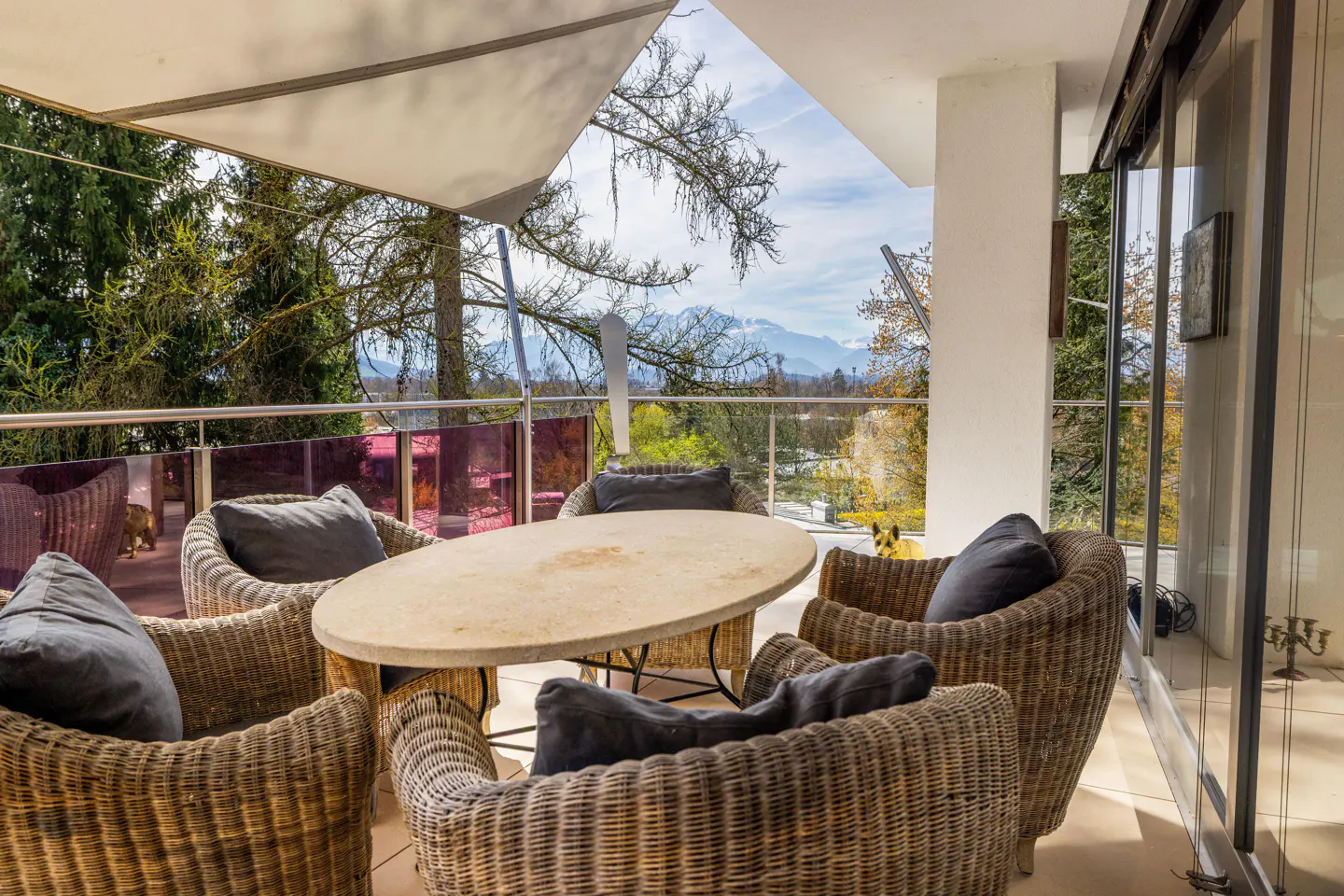 Outdoor patio with wicker chairs, gray cushions, and a stone table. A dog stands in the background, with trees and mountains visible.
