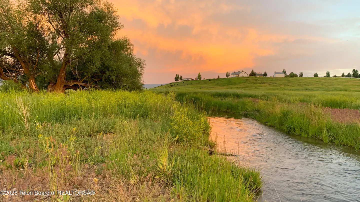 A stream flows through a grassy field at sunset. A large tree stands to the left, and houses are on a distant hill. The sky is orange.