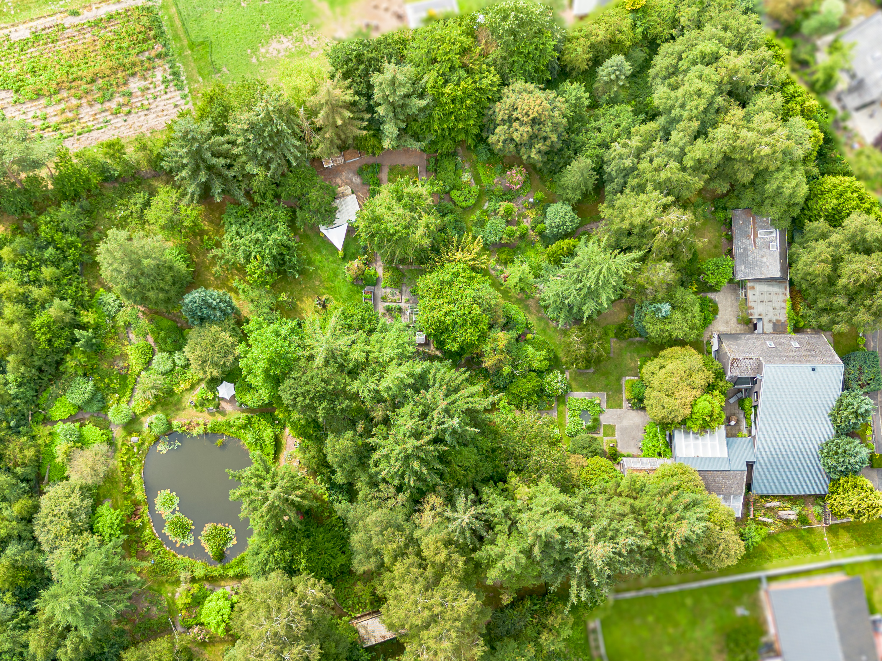 Wohnen mit Weitblick – außergewöhnliches Anwesen mit parkähnlichem Garten