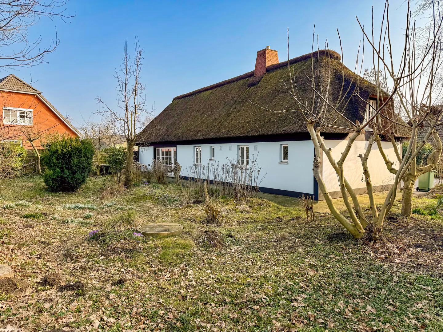 Exterior view of a white house with a thatched roof and a red brick chimney, surrounded by a yard with trees.