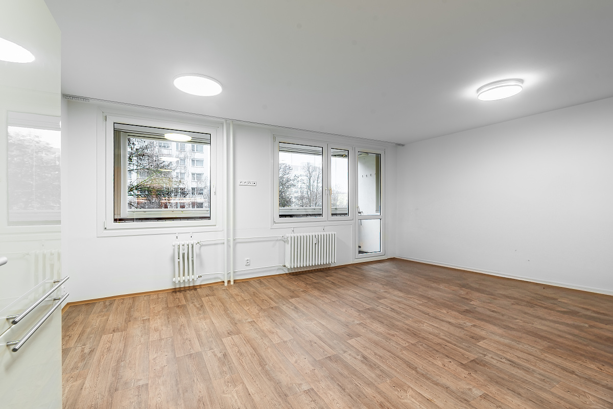 Rent a 3+kt apartment with a cellar and a loggia