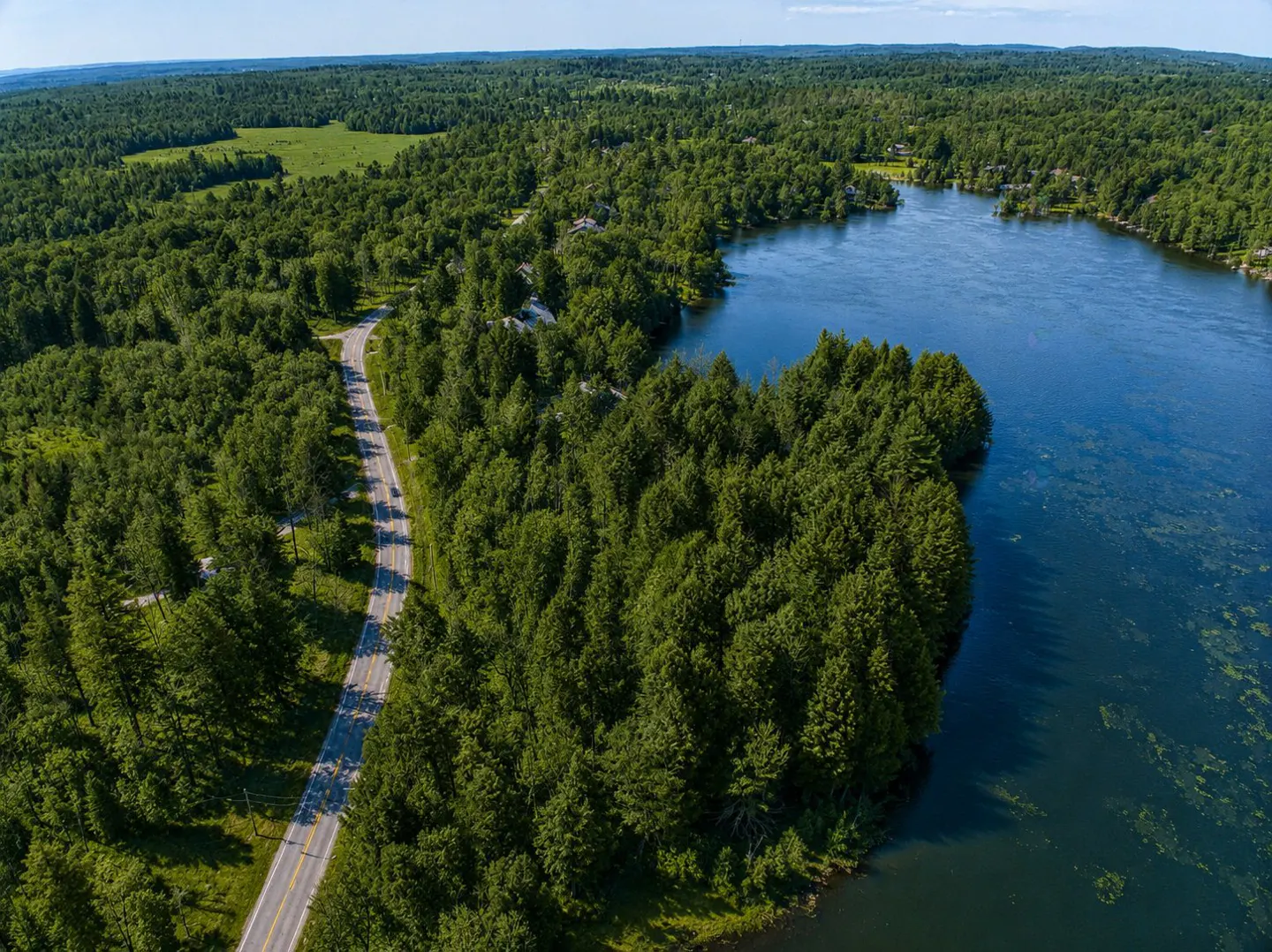 Aerial view of a blue lake surrounded by green trees, with a road running alongside the forest.