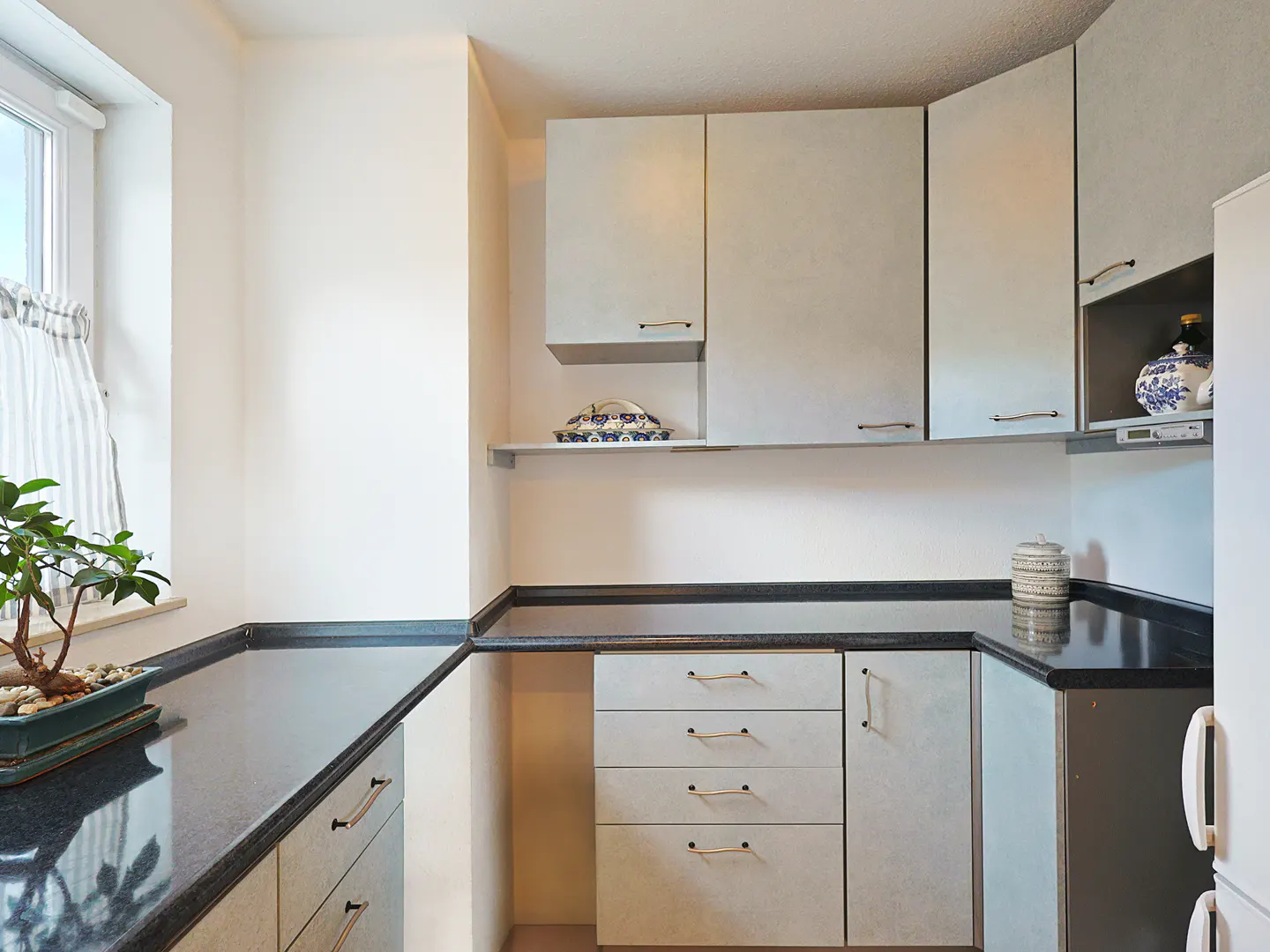 A kitchen with light gray cabinets, black countertops, and a bonsai tree by a window.