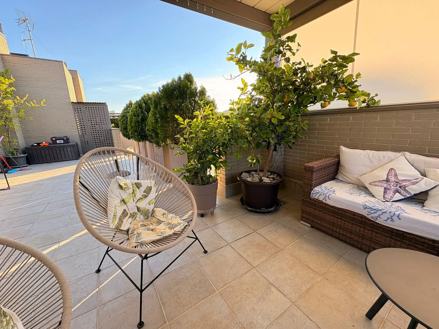 Sunny rooftop terrace with a wicker sofa, a round woven chair, potted lemon trees, and light-colored tiled flooring.