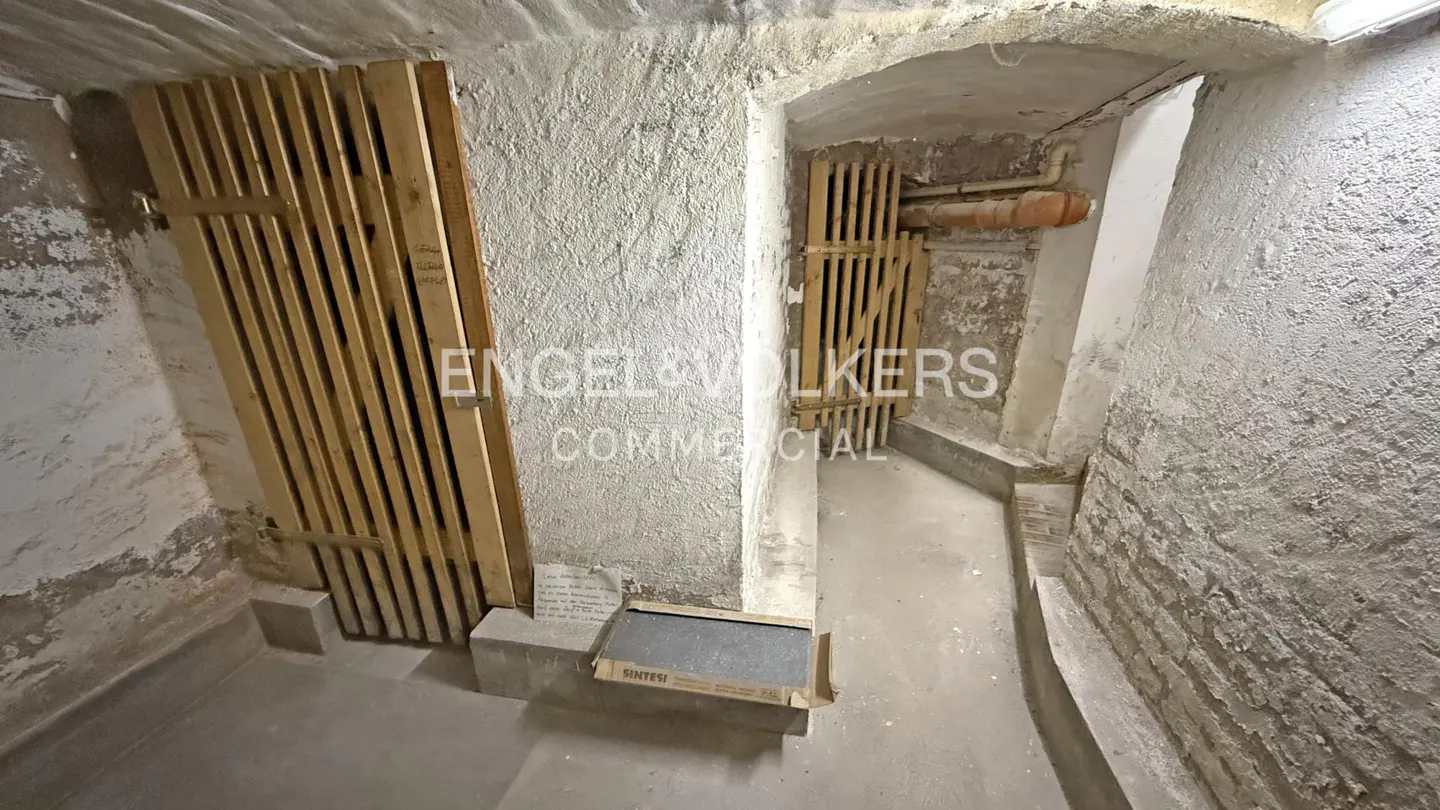 Interior view of a basement with two wooden slatted doors, rough white walls, and a concrete floor.